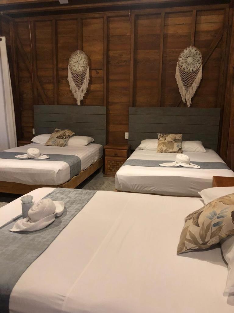 Cabanas Chac Mool Downtown 홀박스아일랜드 외부 사진